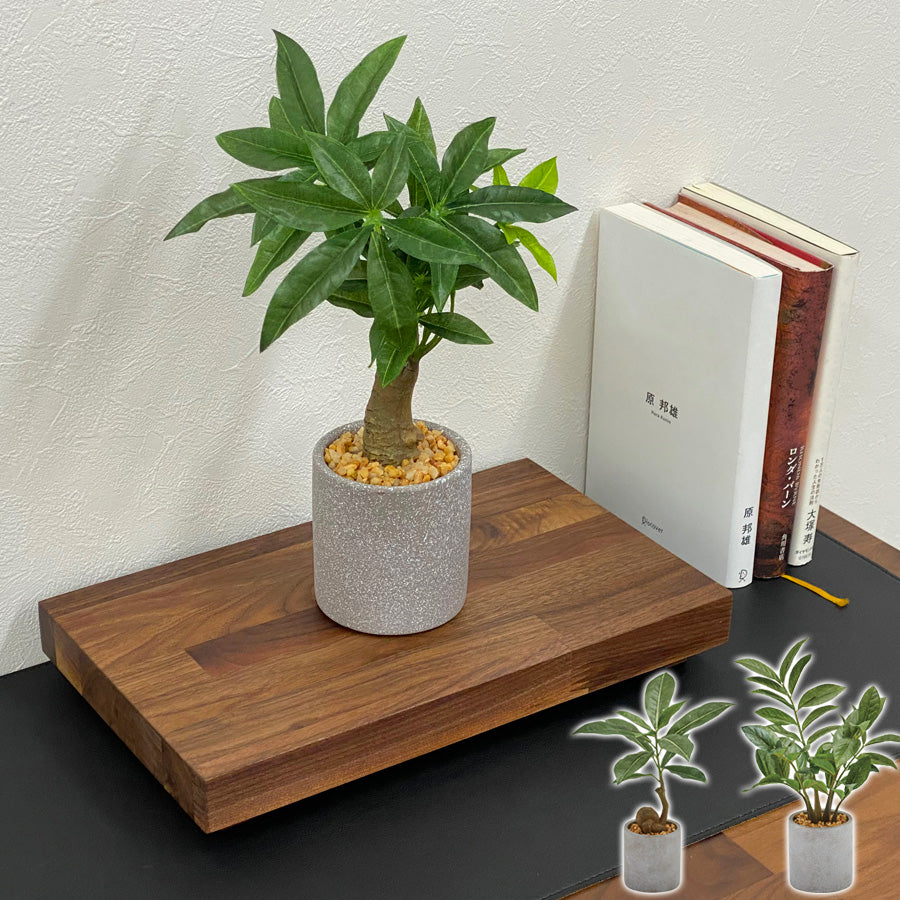 ディスプレイ台+人工観葉植物セット – Wooden JAPAN 匠一松