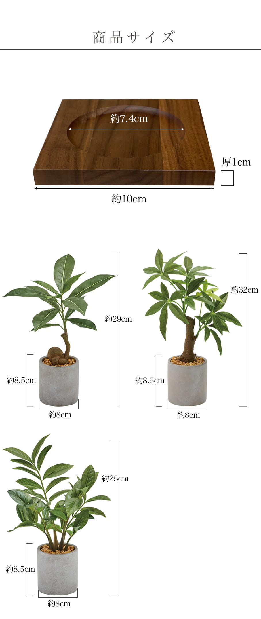 ウォールナットコースター1枚+人工観葉植物 – Wooden JAPAN 匠一松