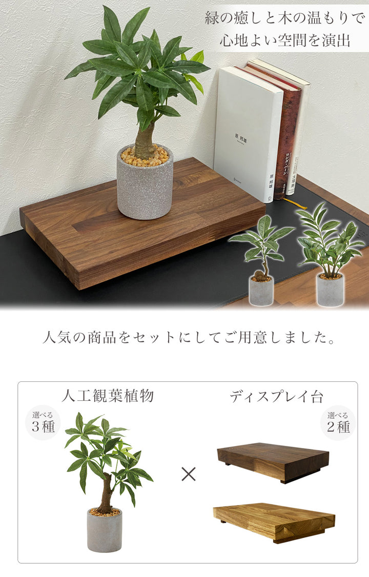 ディスプレイ台+人工観葉植物セット – Wooden JAPAN 匠一松